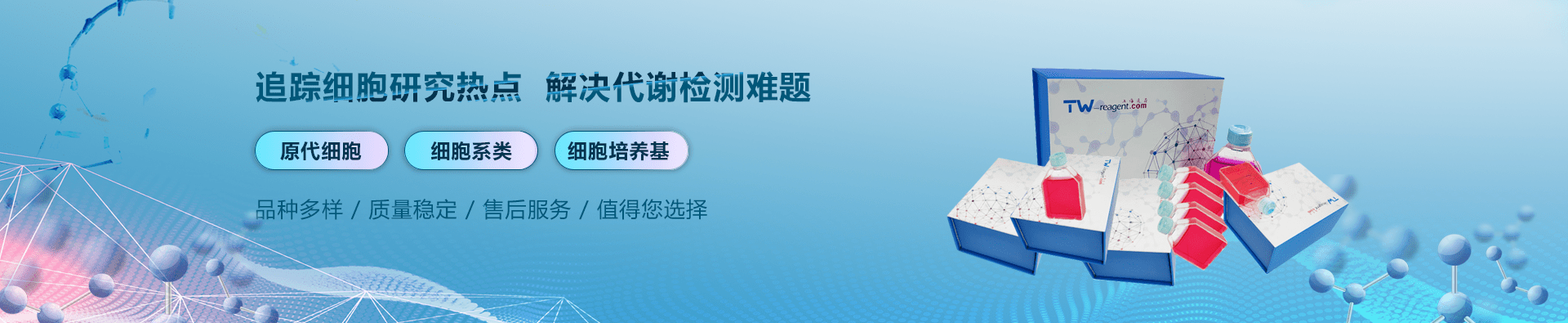 細胞代謝檢測